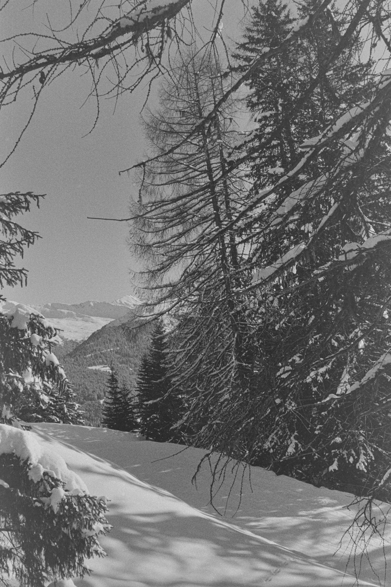 Davos Schatzalp 2