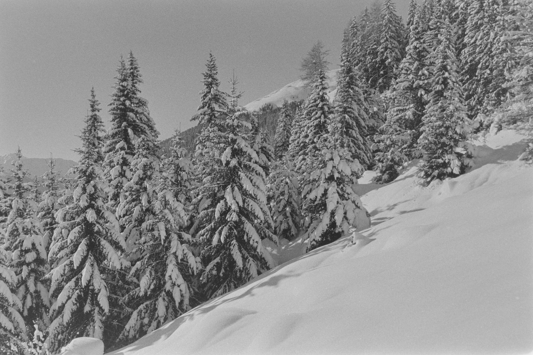Davos Schatzalp 4