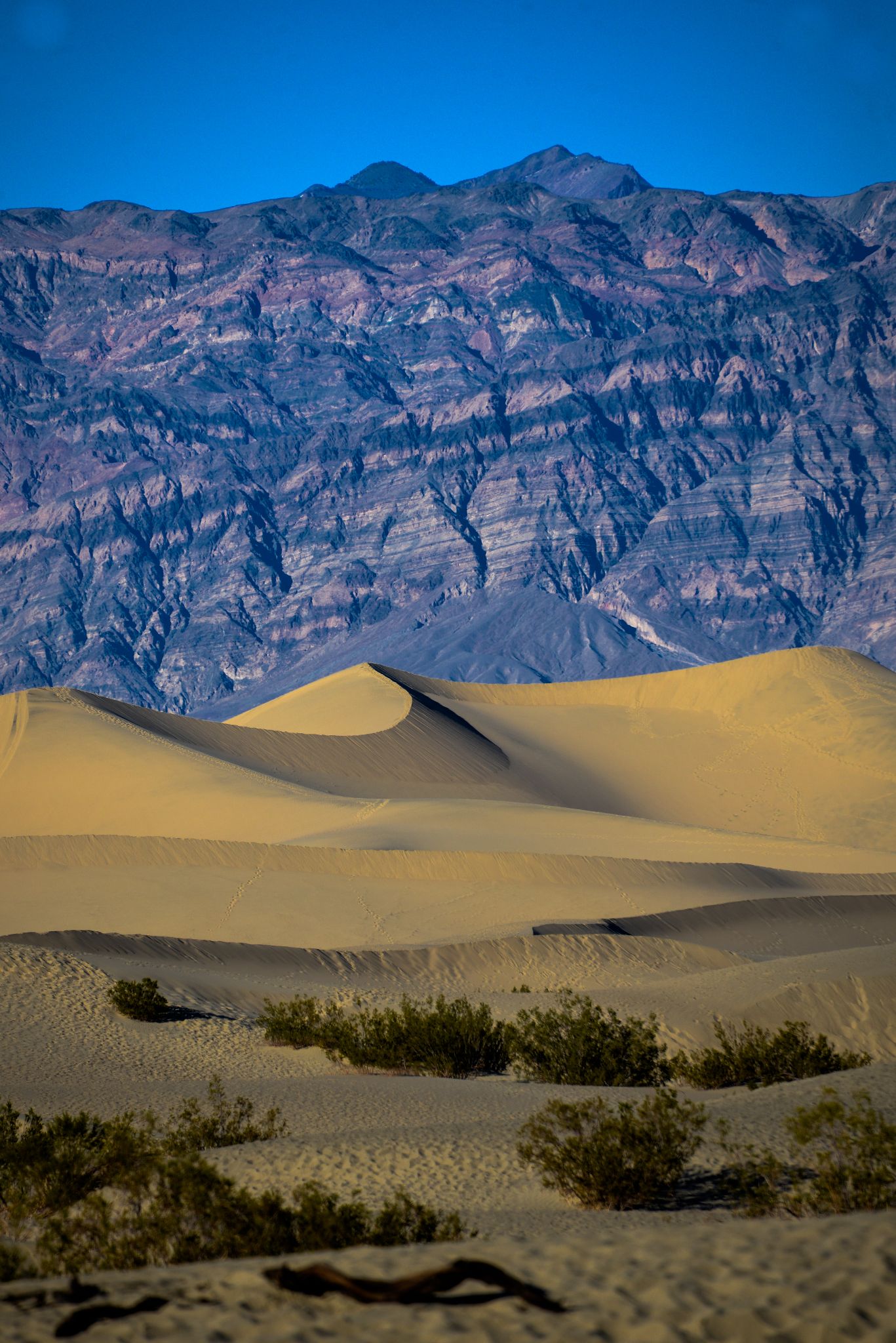 DeathValley 2