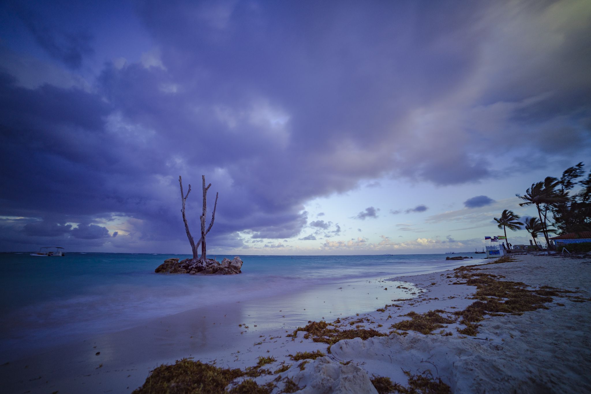 DomRep 2
