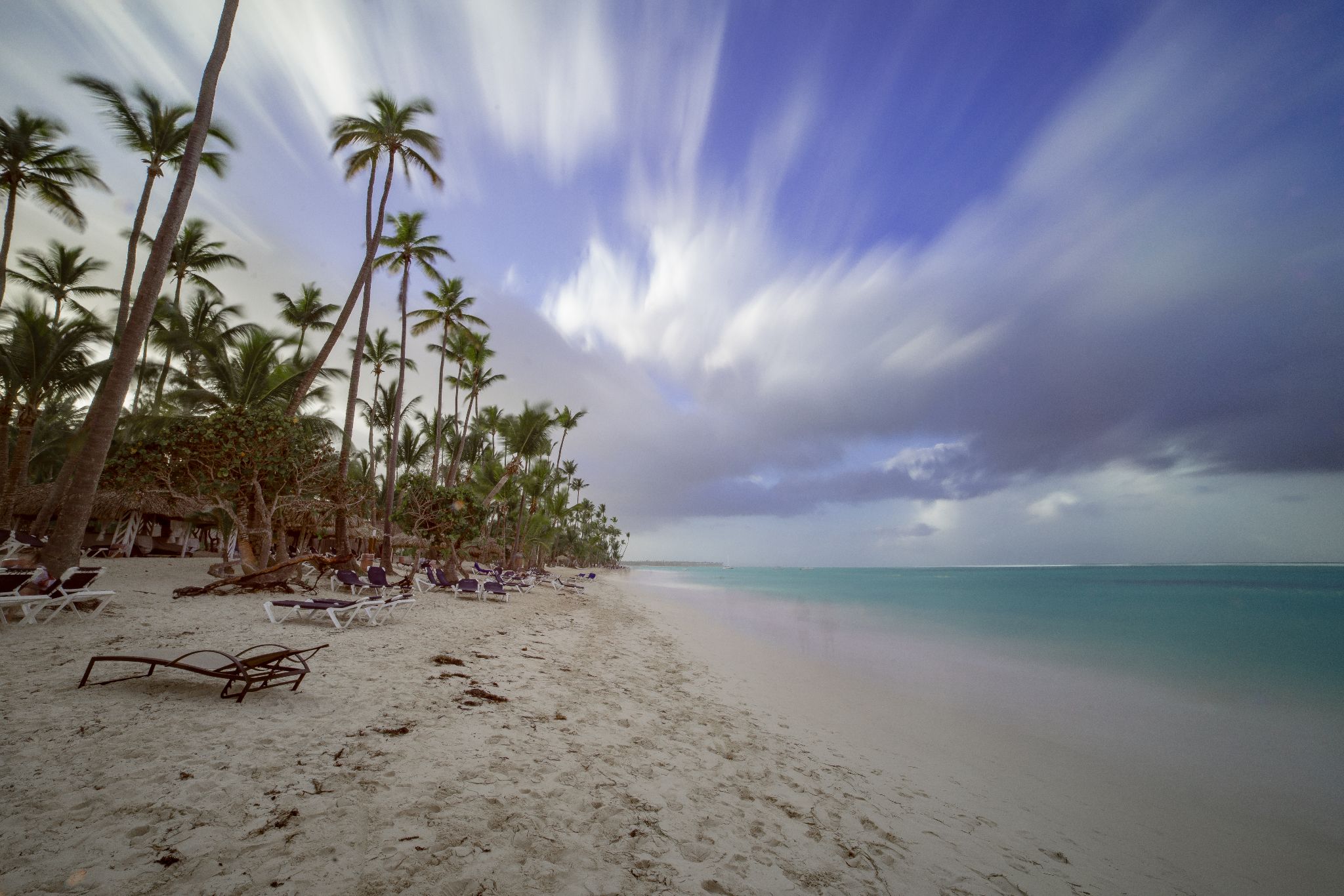 DomRep