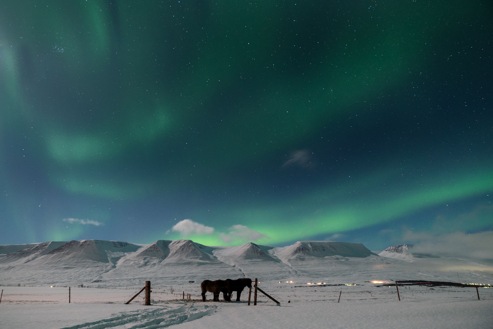 Iceland 4