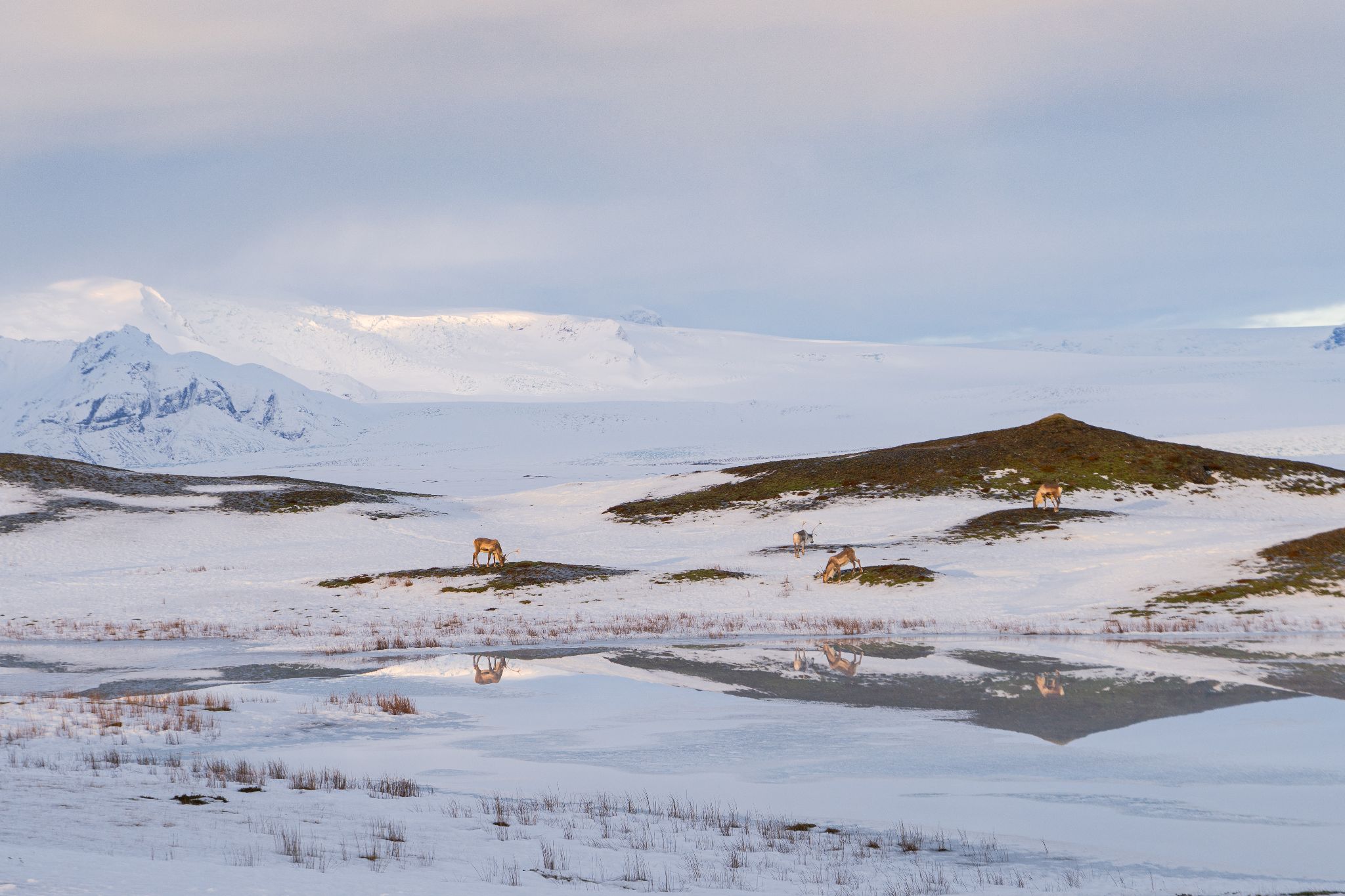 Iceland 7