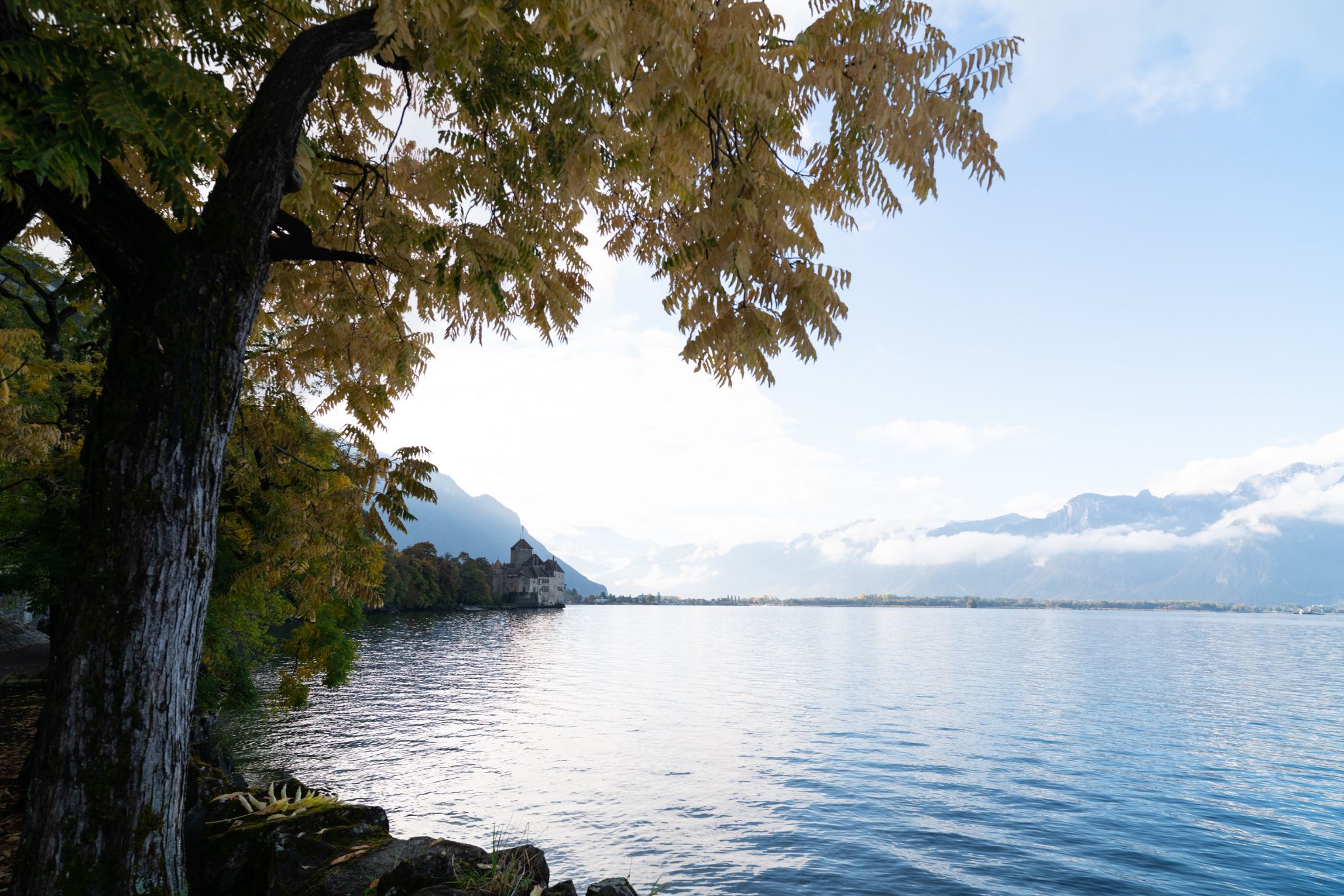 Montreux 3